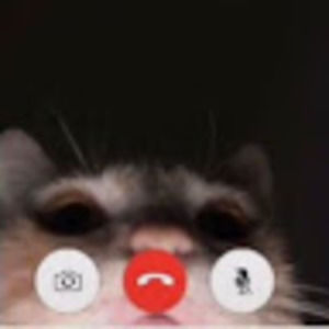 Meet your Posher, Sofia